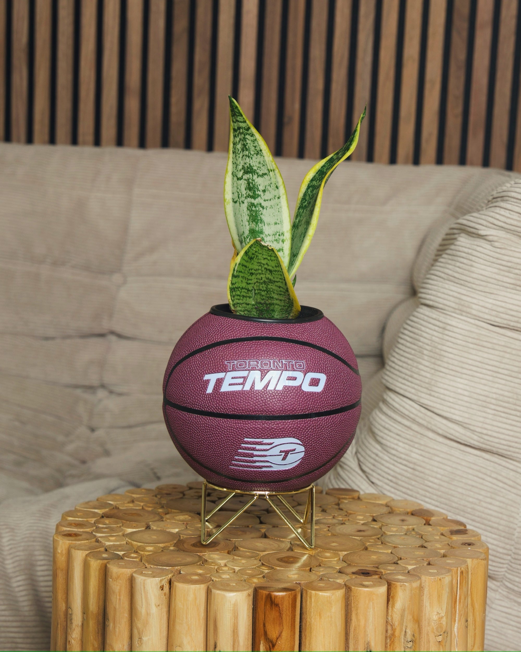 The Toronto Tempo Planter